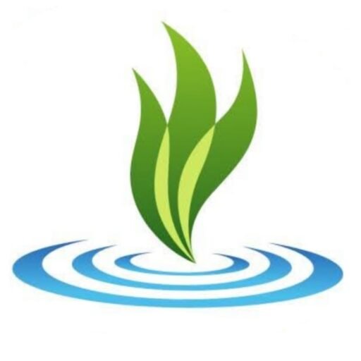 TRI Reyes landscaping